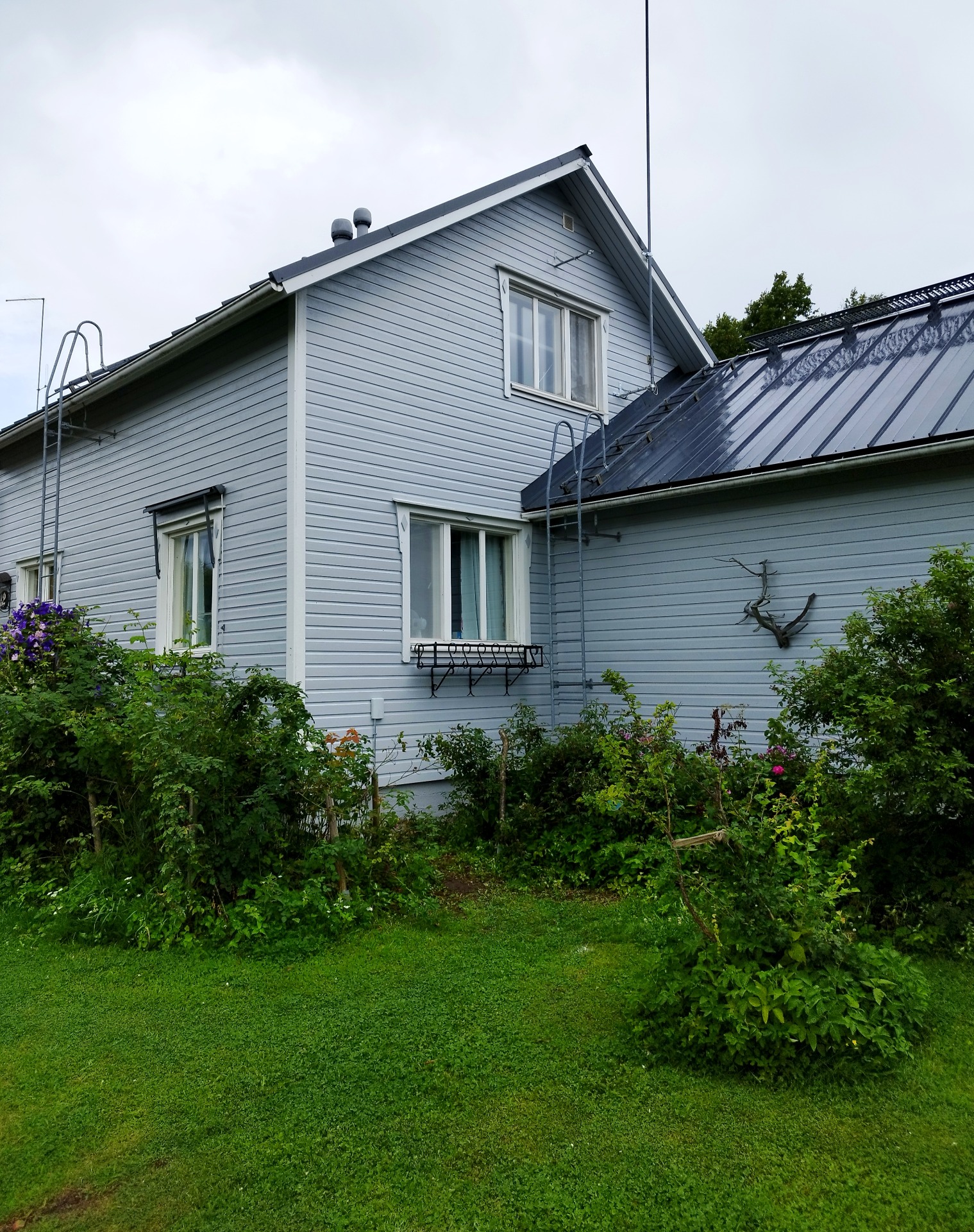 Tämän talon hilseilevät seinät kaavittiin sekä pohjamaalattiin ennen pintamaalausta. Kohde Sipoo ja maalina toimi Teknosin nordica eko. Hinta 6150€